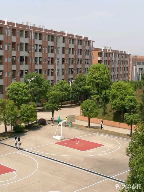 湖南林业科技大学是双一流吗_湖南林业科技大学几本_湖南林科大专业排名