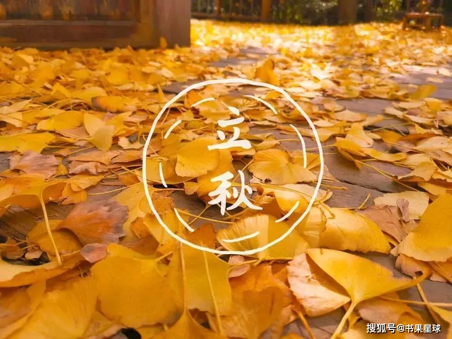 立秋时间今年_今年立秋时间_今年立秋时间是几点钟