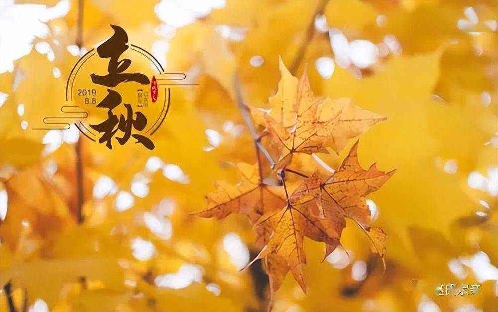 今年立秋是几点几分_今年立秋几时几分_立秋今年是什么时候