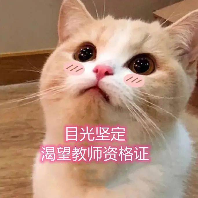 教育成绩查询系统_教资成绩查询系统平台_查询成绩网址登录