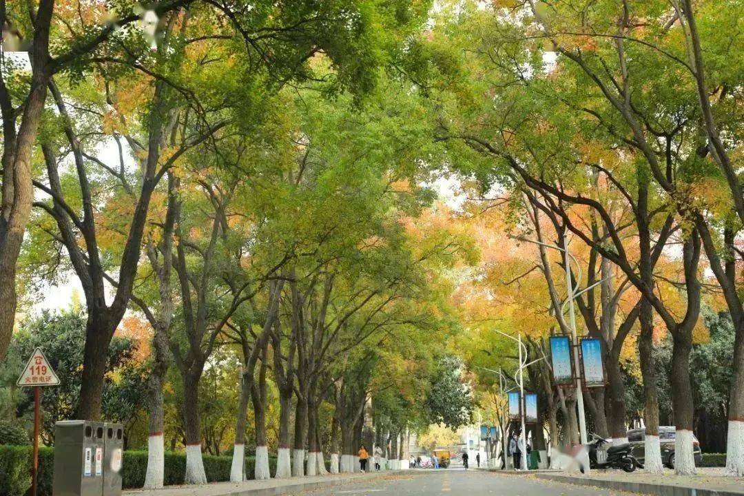 河北学位英语考试网_河北学位英语考试官网_河北省教育考试院学位英语