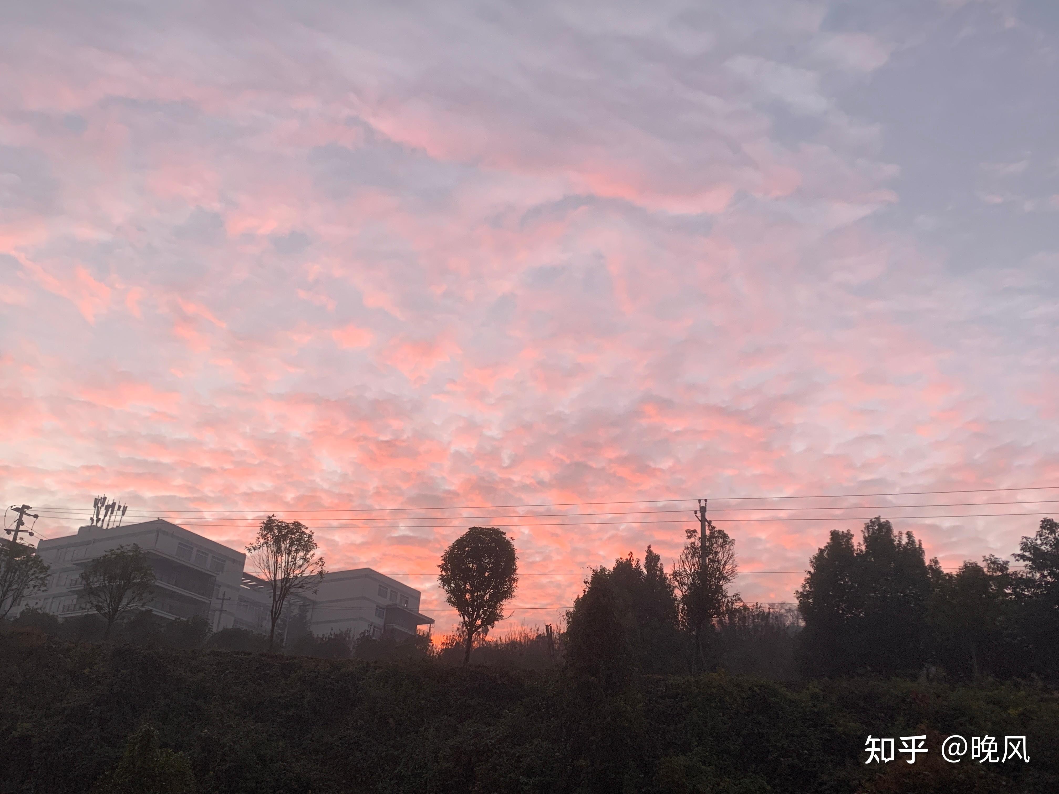 河南科大2020录取分数_2023年河南科技大学招生网录取分数线_河南科技录取分数线2021