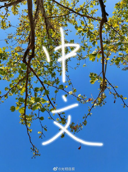 内罗毕的联合国机构_联合国4个办事中心_