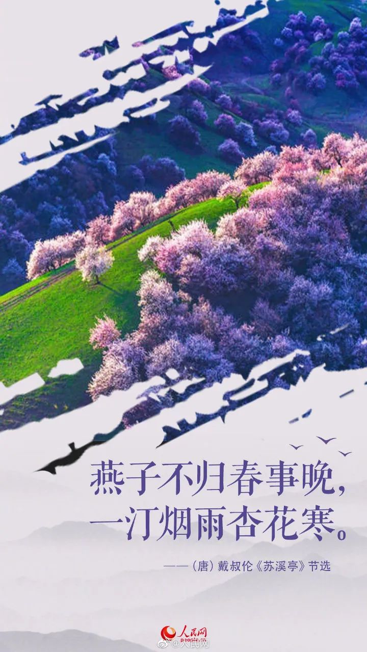 内罗毕的联合国机构_联合国4个办事中心_