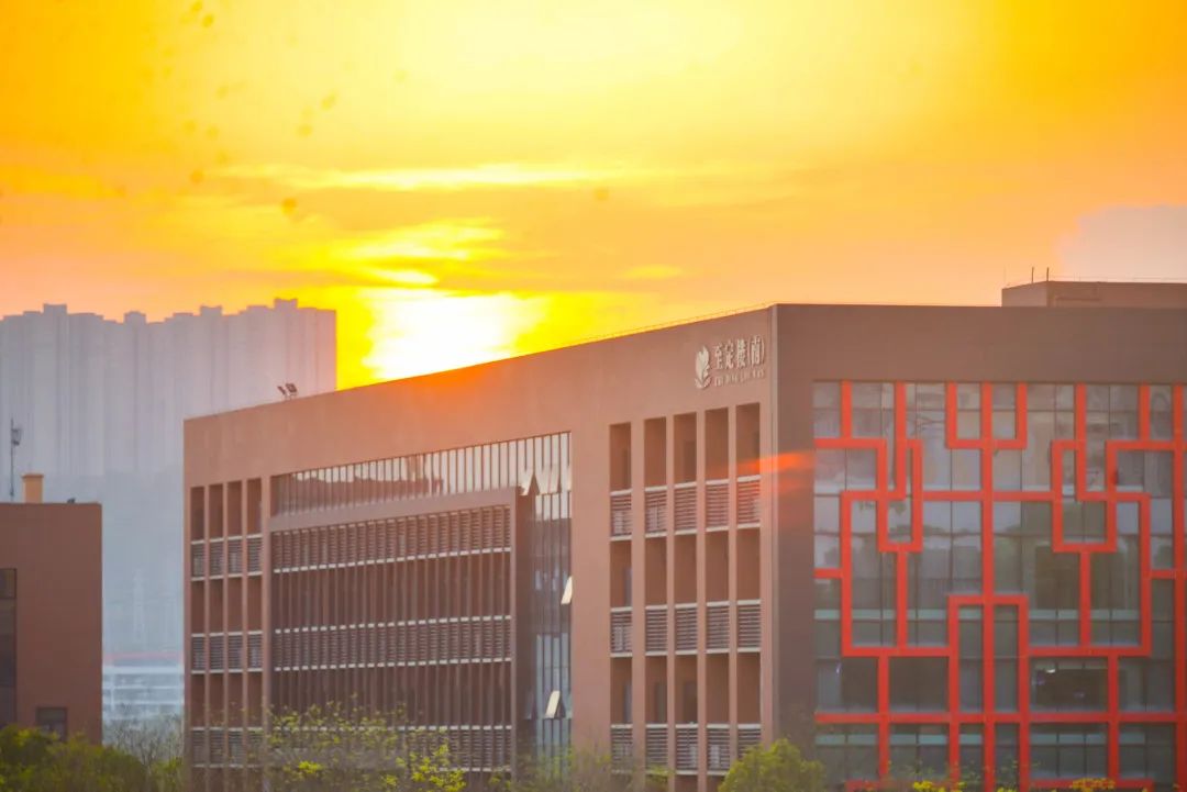 长江师范学院2020录取分数_2023年长江师范学院招生网录取分数线_长江师范学院今年录取分数线