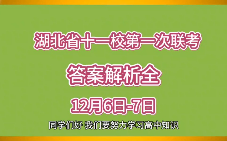 湖北考试院考试成绩查询_2024年湖北考试院成绩查询_湖北省考试院成绩查询