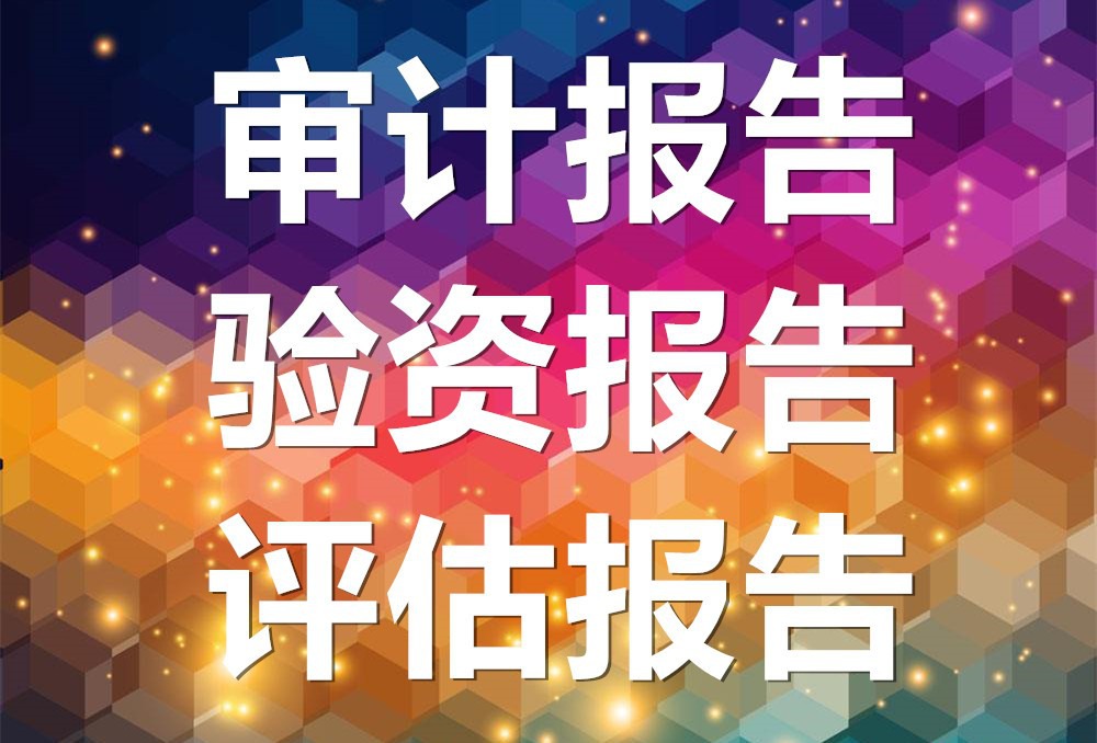 整改审计报告发文通知范文_审计报告的整改报告怎么写_审计整改报告