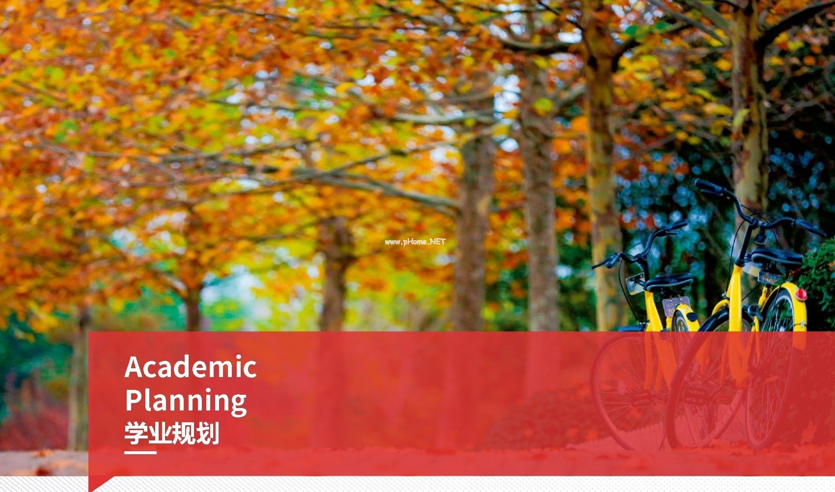 2020同等学力考研_2024年同等学历考研_2021研究生同等学力考研