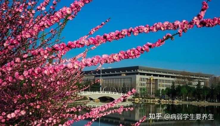 广东省韶关市大学录取分数线_韶关大学分数线_广东省韶关市韶关大学分数线
