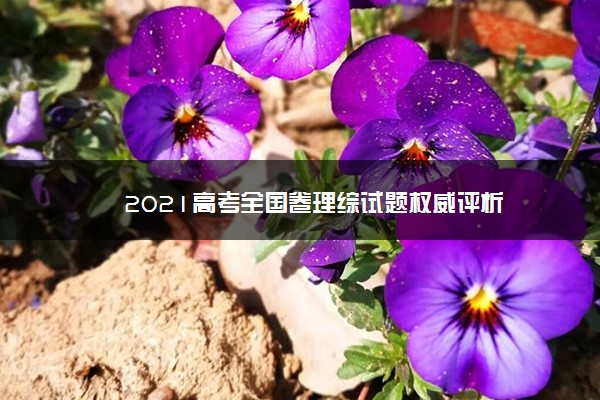 高考试卷解析版_高考试卷甲卷答案_2024全国甲卷高考文综试题答案解析