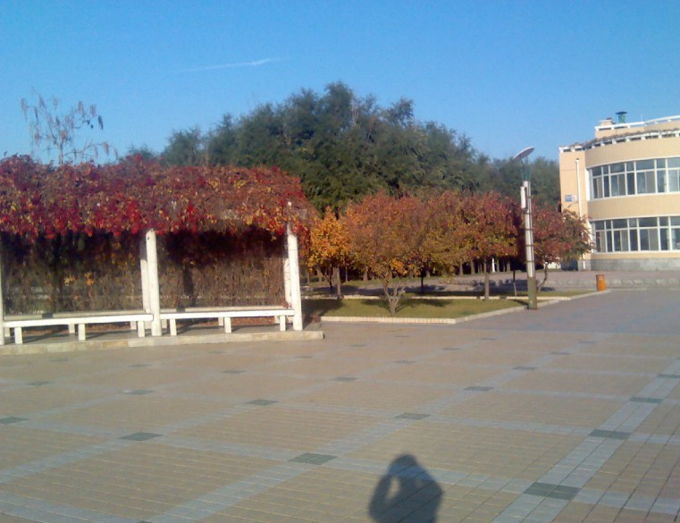 沈阳医学院新生宿舍分配_沈阳医学院学生宿舍_沈阳医学院宿舍