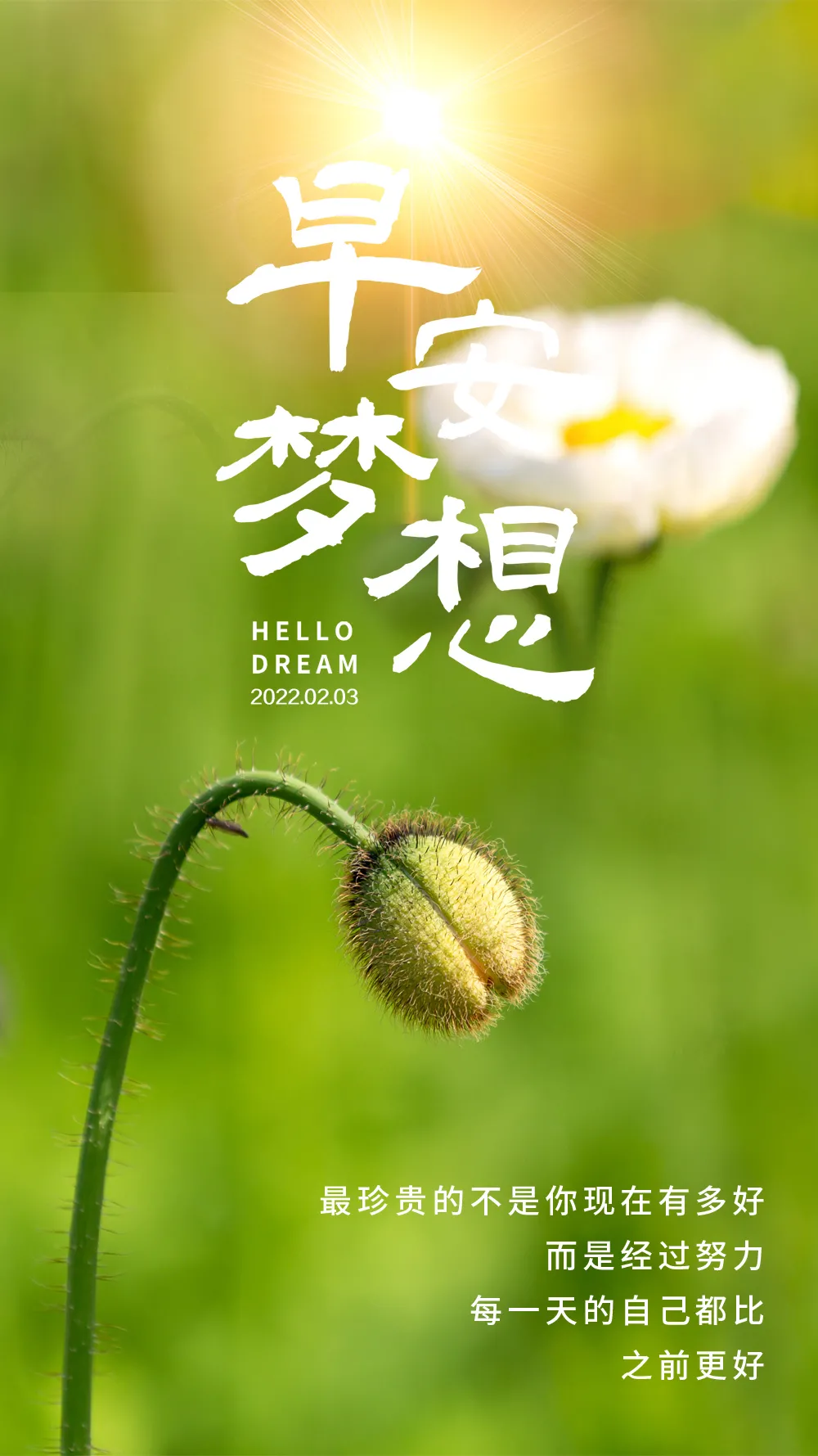 北大才女张泉灵演讲稿_北大演讲泉灵张才女是谁_北大才女张泉灵北大演讲