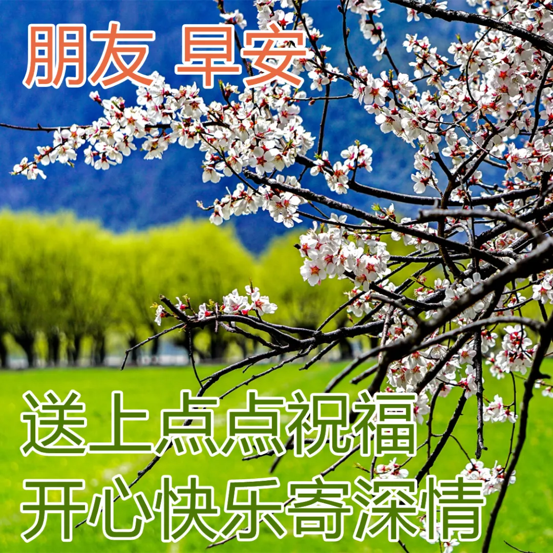 给女朋友空间留言暖心_暖心的空间留言_空间暖心留言八个字朋友