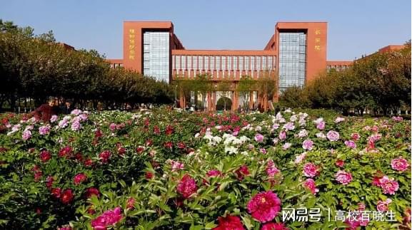 西北农林科技大学是985还是211_西北农林科技大学居然是985_西北农林科技大学有多强