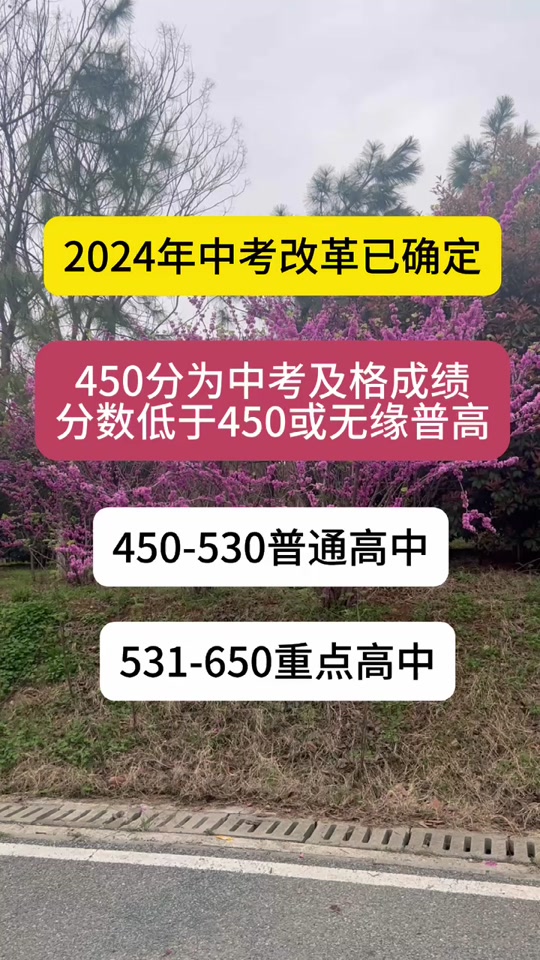 2021宣城中考查询_宣城中考查分网站登录_2024年宣城中考成绩查询