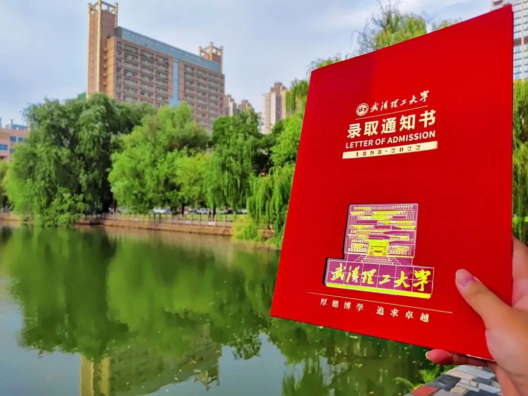 武汉理工大学武汉录取分数线_武汉理工大学2024年录取分数线_武汉大学理工科分数线