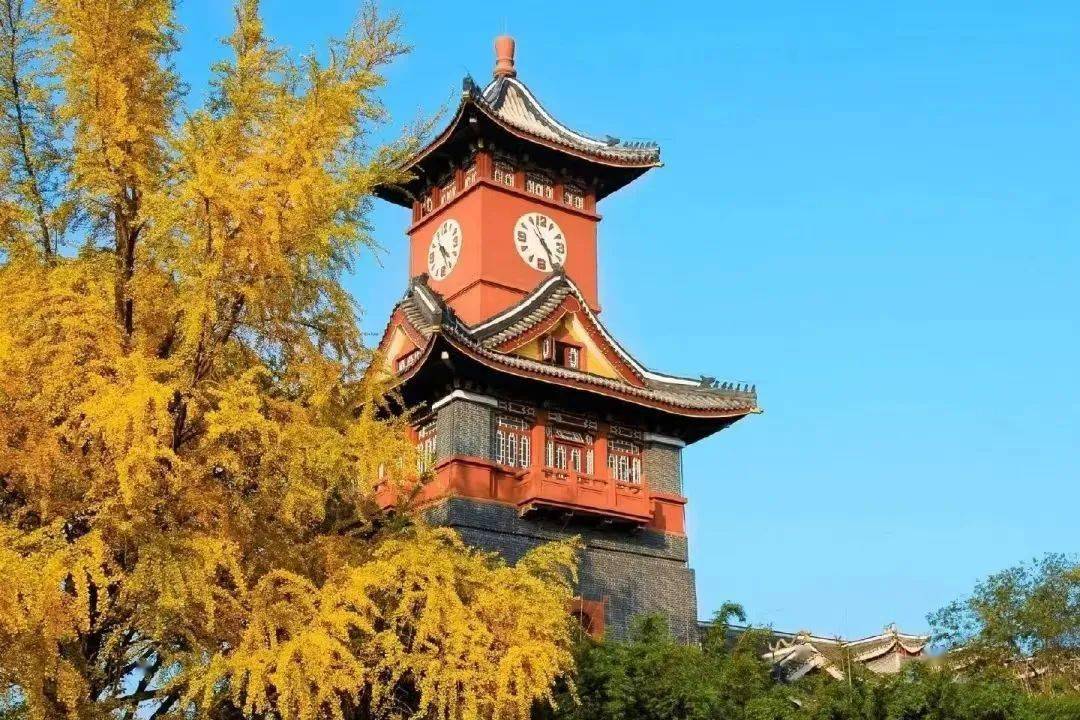 2021四川川大录取分数线_川大的录取线_川大录取分数线2024