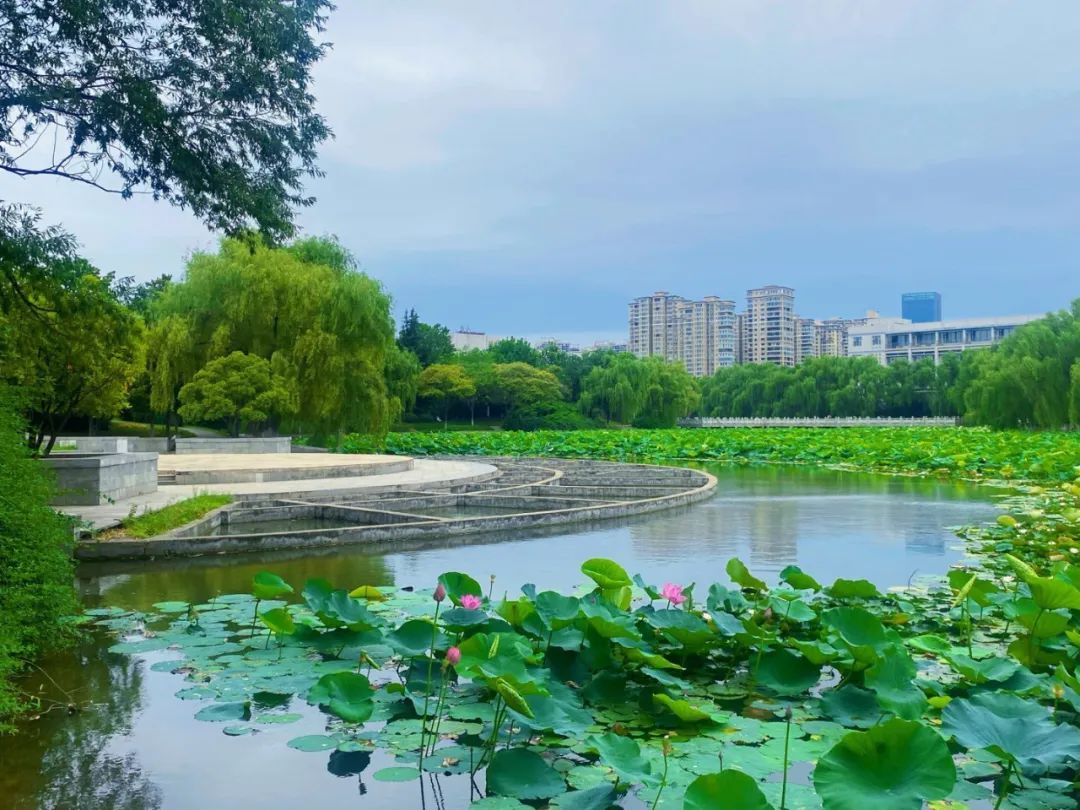 洛阳理工学院是一本还是二本_洛阳理工学院二本专业有哪些_洛阳理工学院二本a类