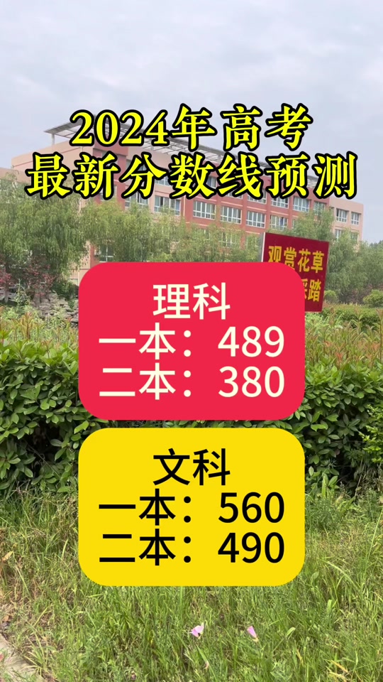 2024年高考本科线_2021分数线会低吗_2024年三本最低分数线