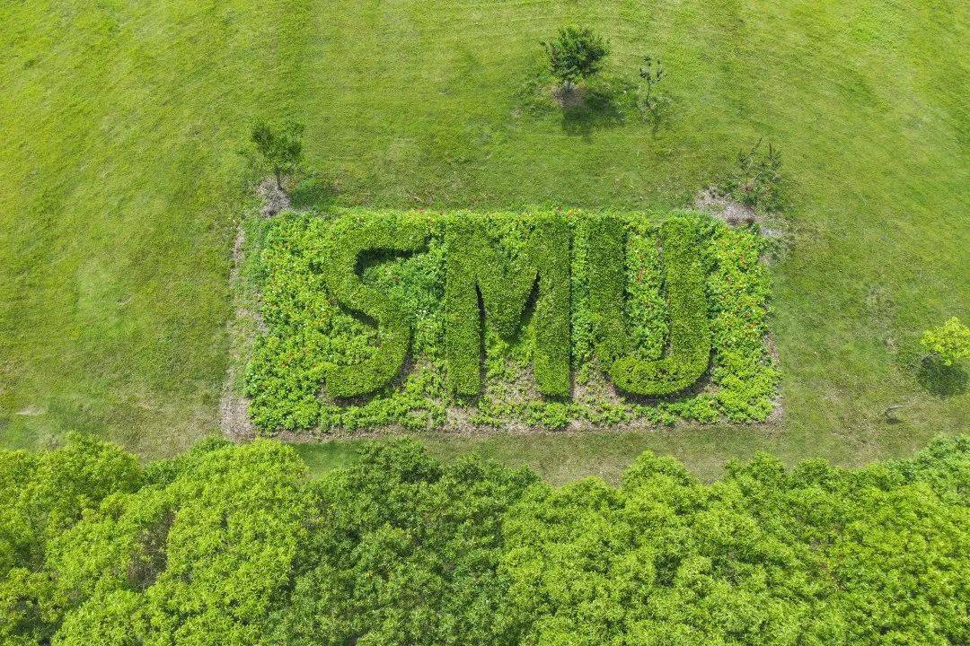 上海海事大学大专分数线_上海海事分数线_2023年上海海事大学专科录取分数线