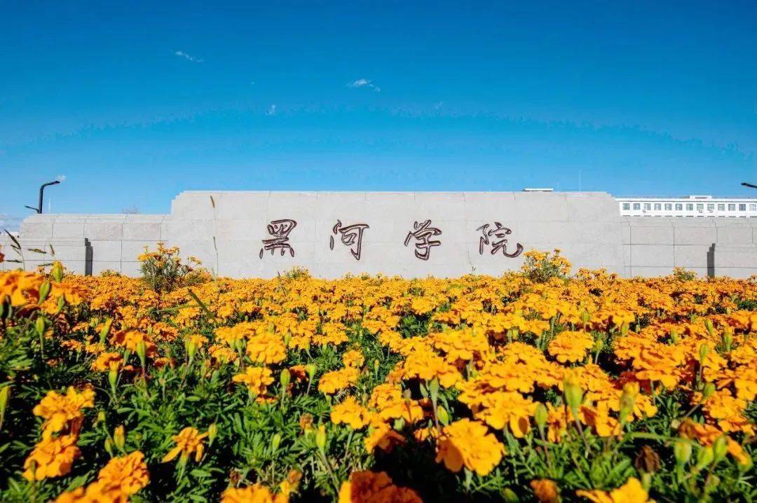 河北理工大学地址_河北理工大学地址在哪里_河北大学理工学院简介