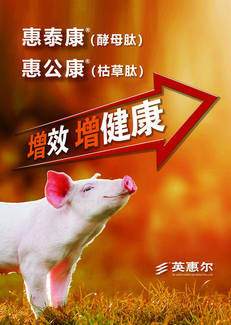 海洋大学研究生录取分数线_2023年中国海洋大学研究生院录取分数线_海洋大学研究生分数