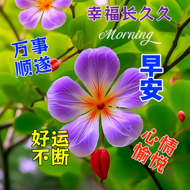 幼儿园教师节贺卡祝福语_贺卡祝福语幼儿园老师_幼儿园教师节贺卡语言祝福简语