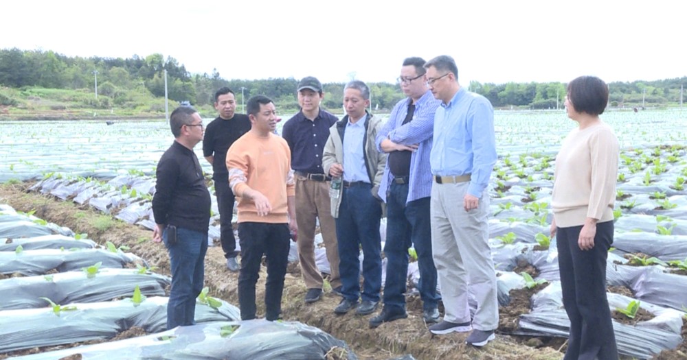 湖南传媒职业技术学院官网_湖南传媒学院_湖南传媒学院官网