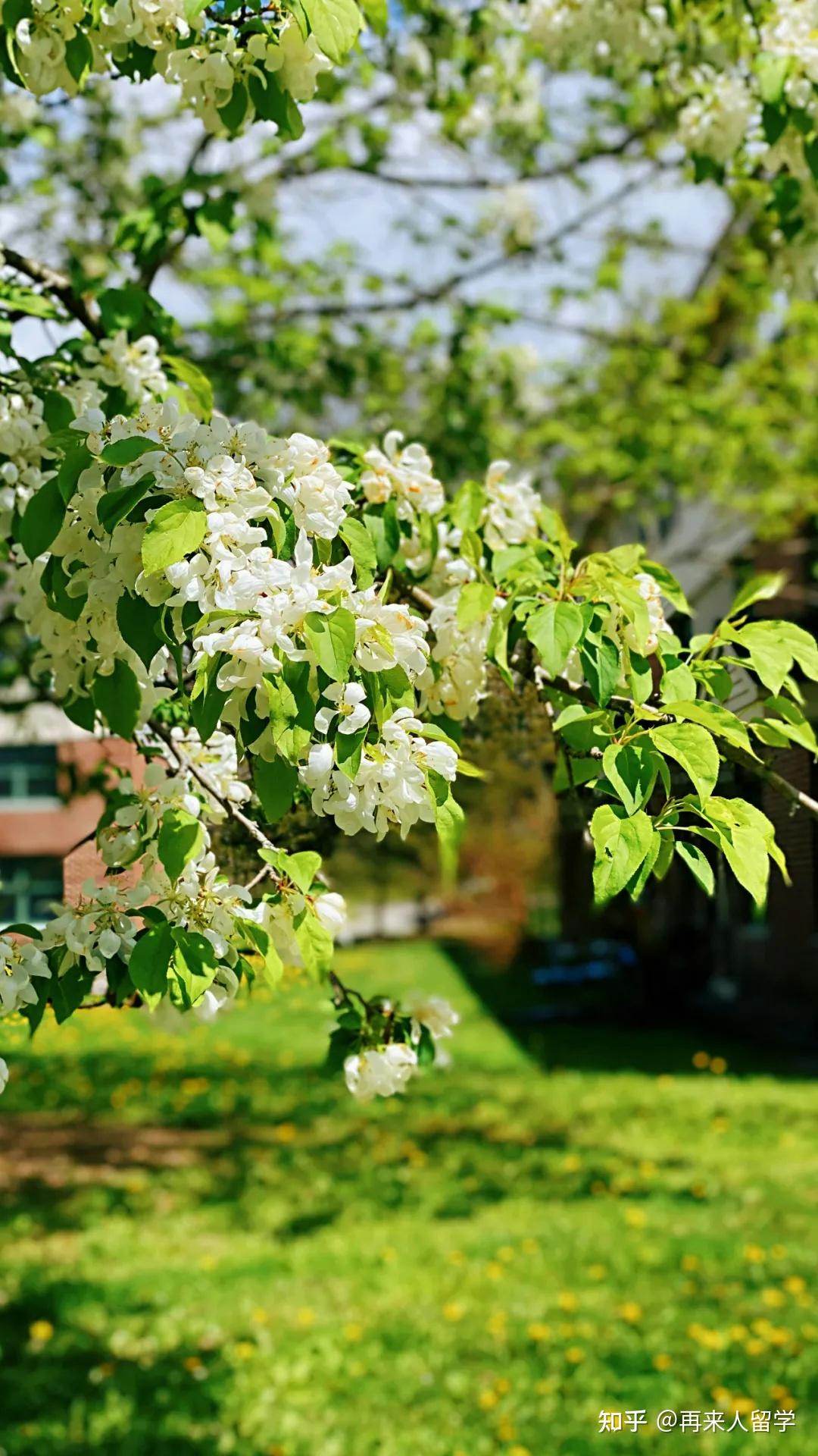 请问全国大学排名_排名大学全国前十_大学全国排名