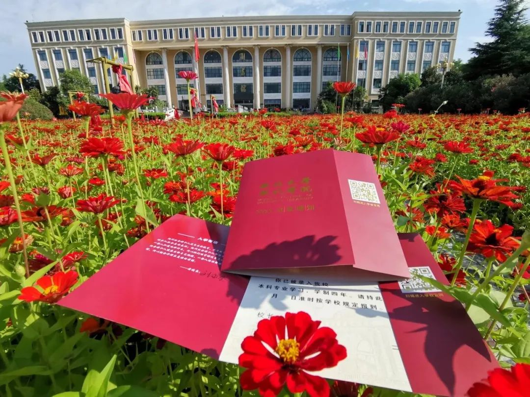 录取分数西北线大学2024_西北大学2021录取线预_西北大学2024录取分数线