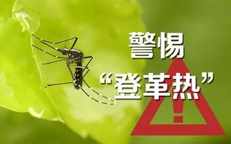 报考临时身份证可以吗_四级临时有事考不了怎么办_临时考试叫什么