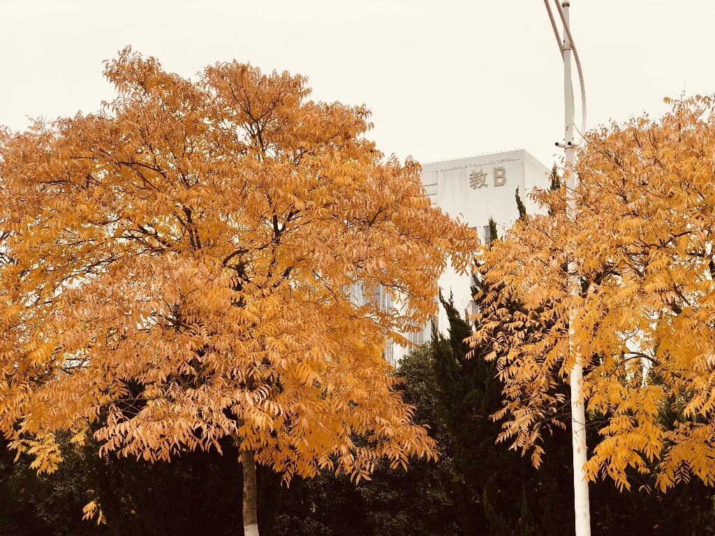 南京大学理工紫金学校好吗_南京理工紫金大学urp_南京理工大学紫金学校是几本