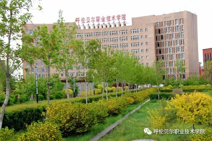 呼伦贝尔学院录取查询系统_呼伦贝尔学院录取情况_2023年呼伦贝尔学院招生网录取分数线