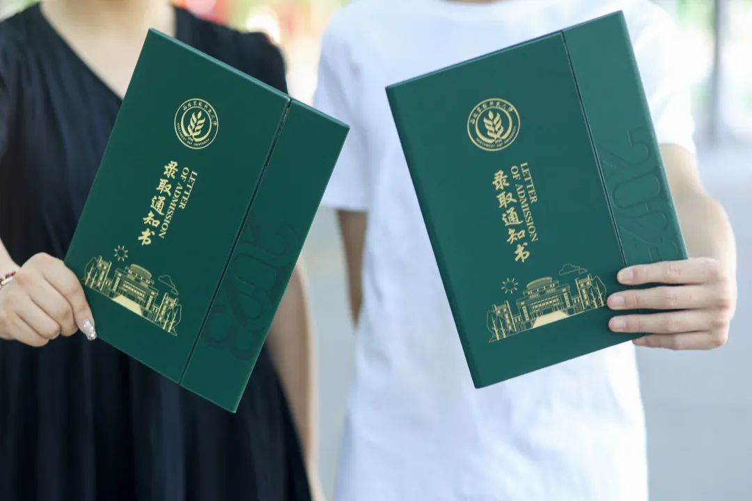 录取查询显示暂无查询结果_录取查询显示暂无录取信息_录取暂无查询显示信息怎么回事