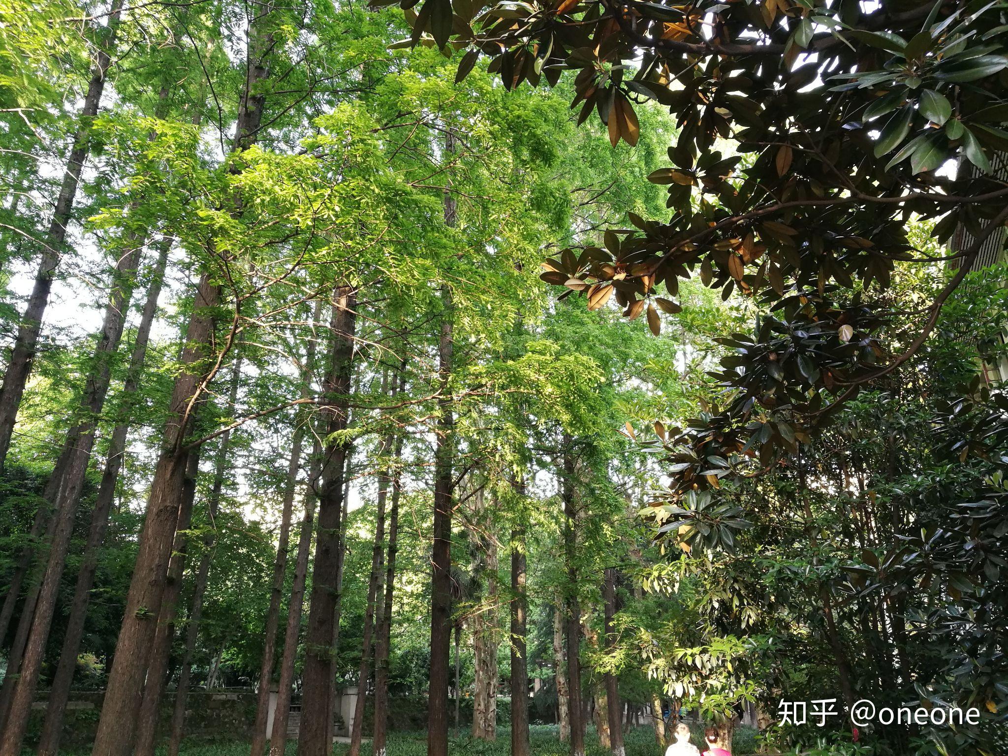 中南财经政法大学就业信息网_中南财经政法大学就业网官网_中南财经政法大学就业服务中心