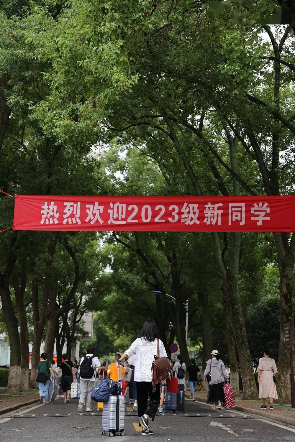 中南财经政法大学就业服务中心_中南财经政法大学就业信息网_中南财经政法大学就业网官网