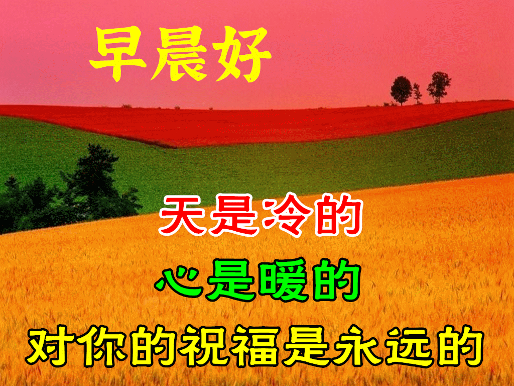 初一英语作文我的周末带翻译__周末英语作文初一
