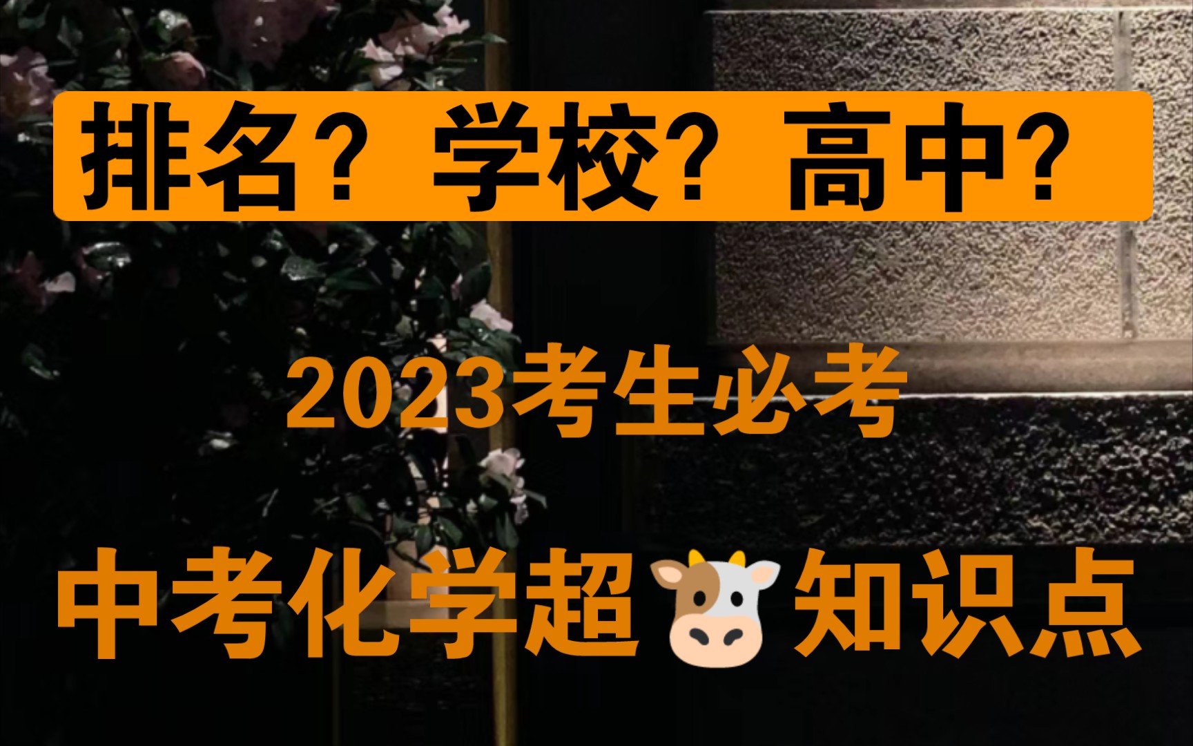 遵义中考招生网_中考遵义招生考试网_遵义中考招生网站登录