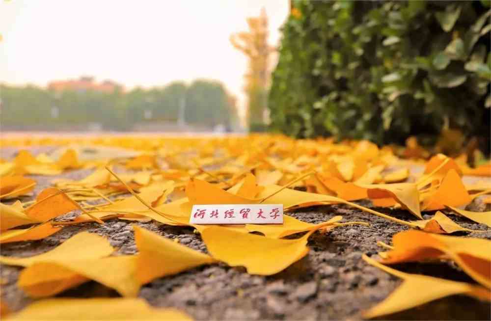 河北经贸大学怎么样_河北大学经贸大学经济管理学院_河北大学经济贸易专业