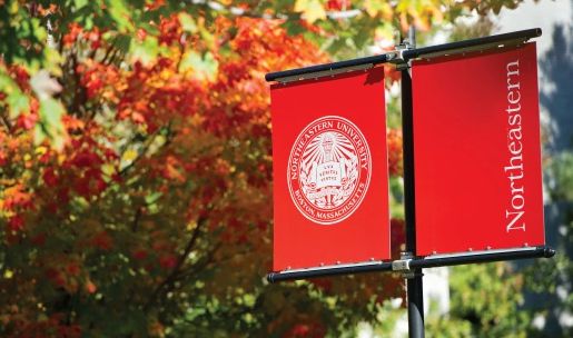 东北大学投档分数线_东北大学2024年录取分数线_东北大学收分线