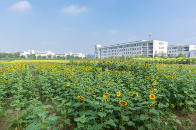 南京工业职业技术大学院系_南京工业职业技术学院学_南京工业职业技术学院官网