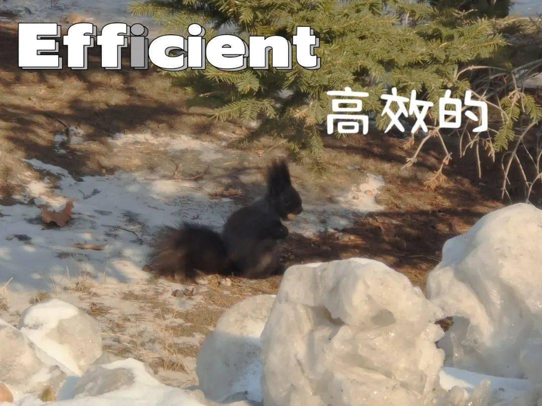 在哪打印六级成绩单__六级电子成绩报告单