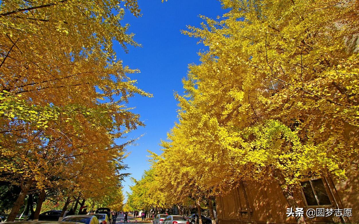 二本大学排行榜_二本大学排名前十_二本大学前十名