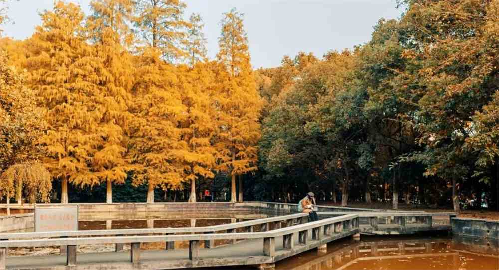 湖南科技大学百科_湖南大学科技学院是几本_湖南科技大学在哪里