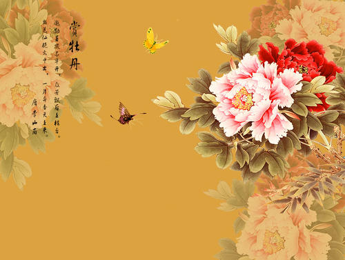 赞美牡丹花的经典诗句_牡丹诗句赞美经典花的句子_牡丹诗句赞美经典花语