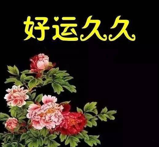句子重要身体健康怎么写_身体健康最重要的句子_重要的身体健康
