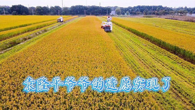 袁隆平人物介绍英语作文80词_袁隆平的人物介绍英语_
