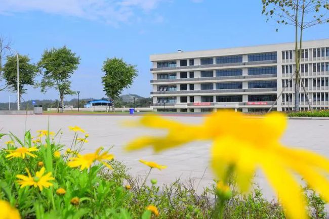 天府新区职业信息技术学院_天府新区信息职业官网_天府新区信息职业学院