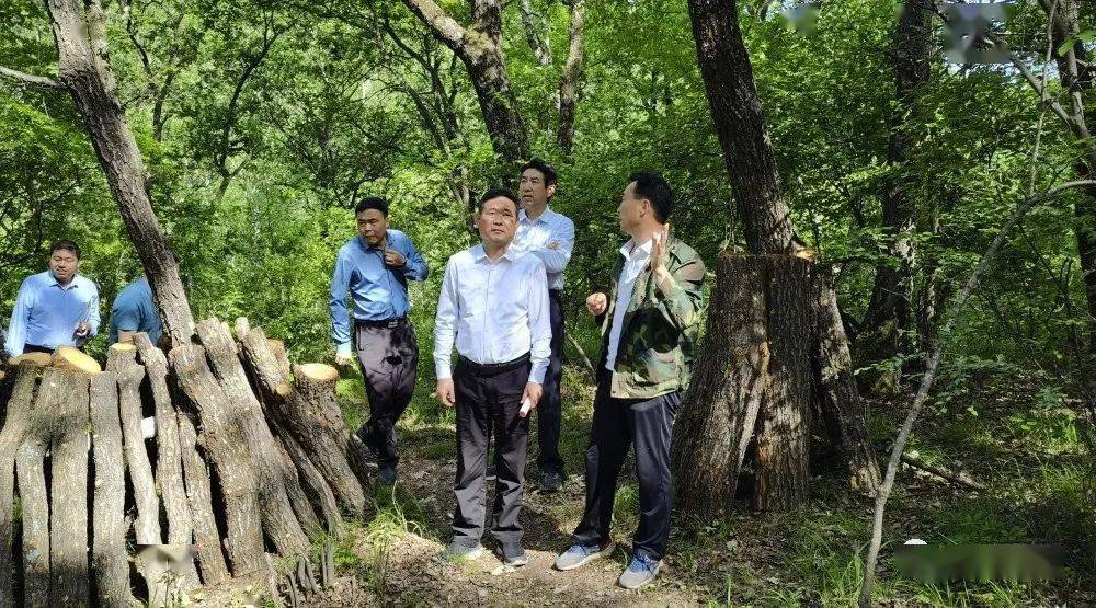 新四军关于保守军事秘密的规定_保守军事新四军秘密规定是什么_保守军事新四军秘密规定内容