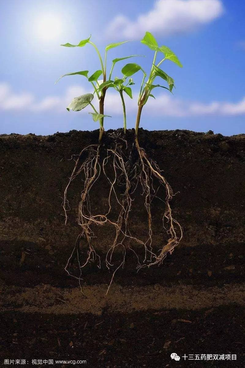 占用平均流动额资金什么意思_流动资金平均占用额_流动资产平均占用额是什么意思